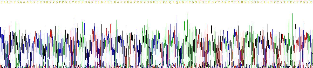 Recombinant Fibroblast Growth Factor 2, Basic (FGF2)