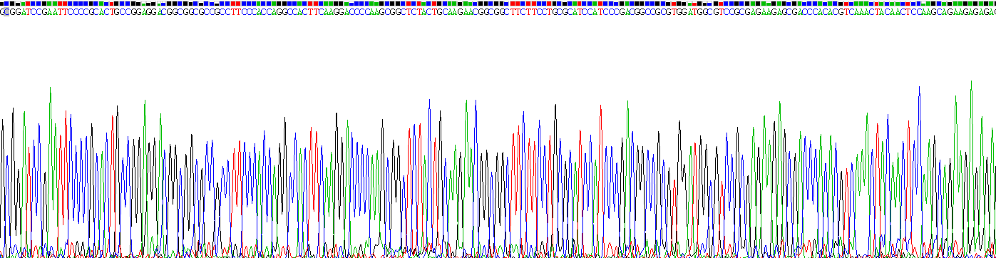 Recombinant Fibroblast Growth Factor 2, Basic (FGF2)