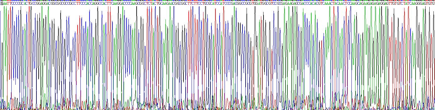 Recombinant Fibroblast Growth Factor 2, Basic (FGF2)