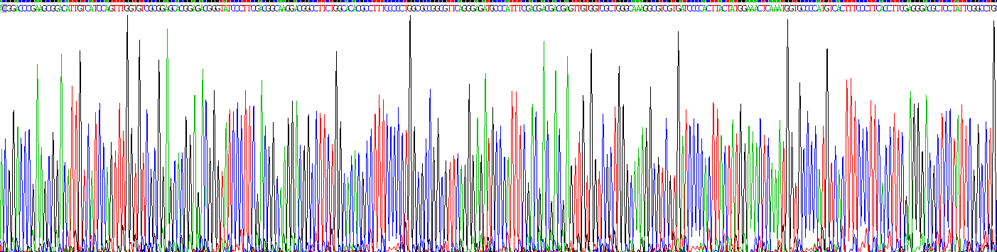 Recombinant Matrix Metalloproteinase 9 (MMP9)