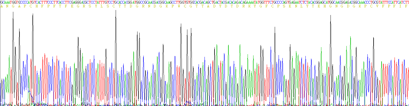 Recombinant Matrix Metalloproteinase 9 (MMP9)