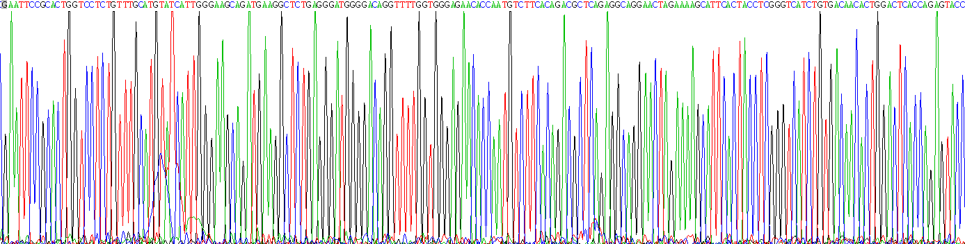 Recombinant Thyroid Peroxidase (TPO)