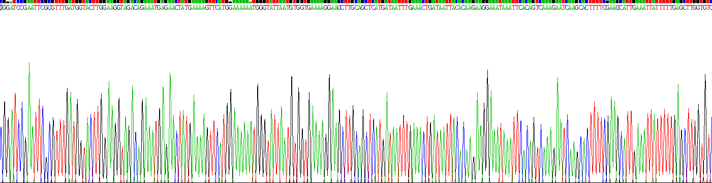 Recombinant Fatty Acid Binding Protein 2, Intestinal (FABP2)