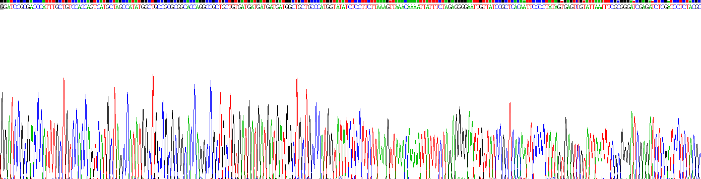 Recombinant Fatty Acid Binding Protein 2, Intestinal (FABP2)