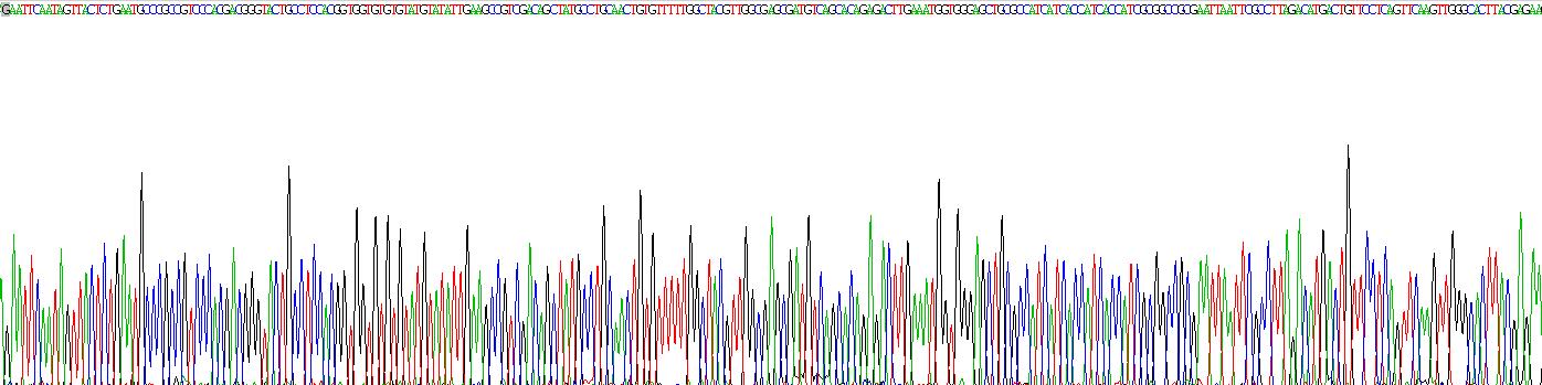 Recombinant Epidermal Growth Factor (EGF)