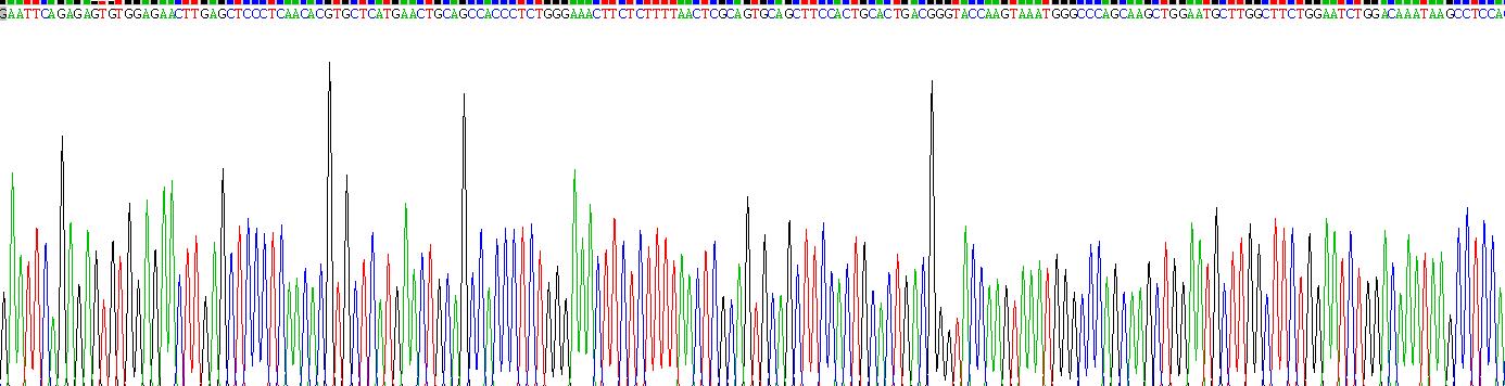 Recombinant P-Selectin (SELP)