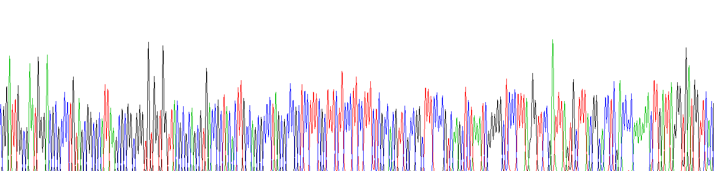 Recombinant Procollagen III N-Terminal Propeptide (PIIINP)