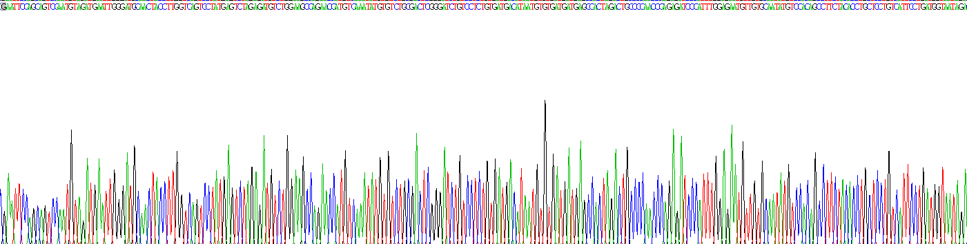 Recombinant Procollagen III N-Terminal Propeptide (PIIINP)