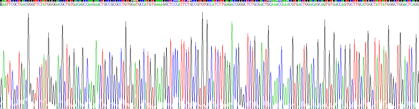 Recombinant Laminin Alpha 1 (LAMA1)