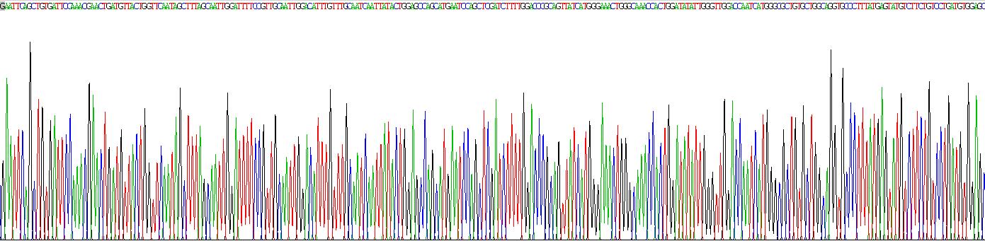 Recombinant Aquaporin 4 (AQP4)