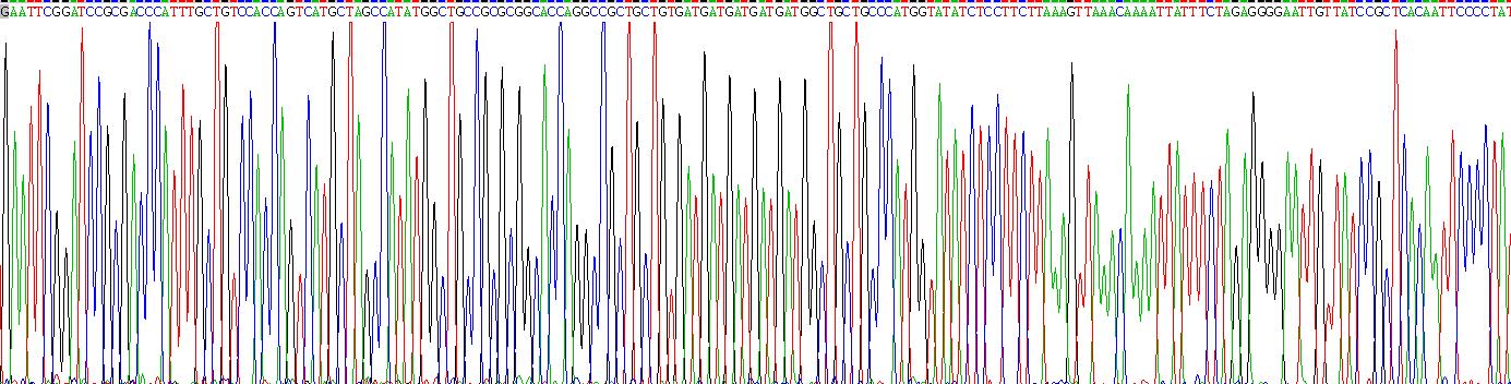 Recombinant Pyruvate kinase isozymes M2 (PKM2)