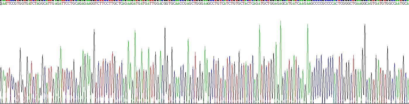 Recombinant Pyruvate kinase isozymes M2 (PKM2)