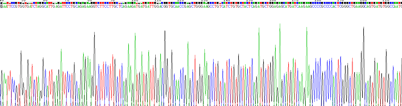 Recombinant Pyruvate kinase isozymes M2 (PKM2)