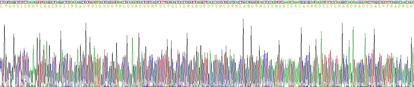 Recombinant Proliferating Cell Nuclear Antigen (PCNA)