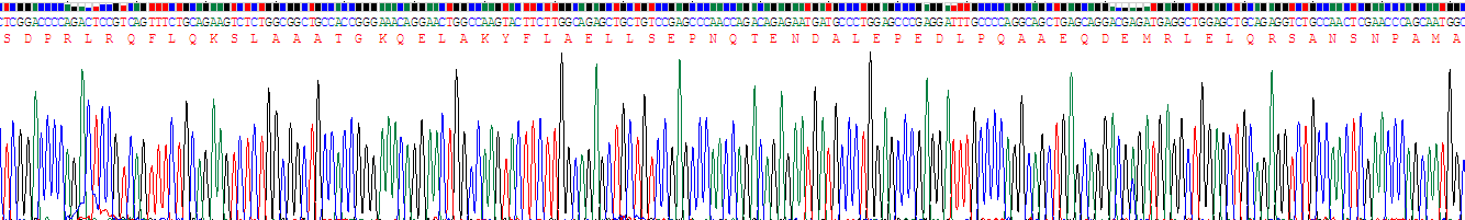 Recombinant Somatostatin (SST)