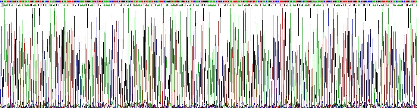 Recombinant Fibrillin 1 (FBN1)