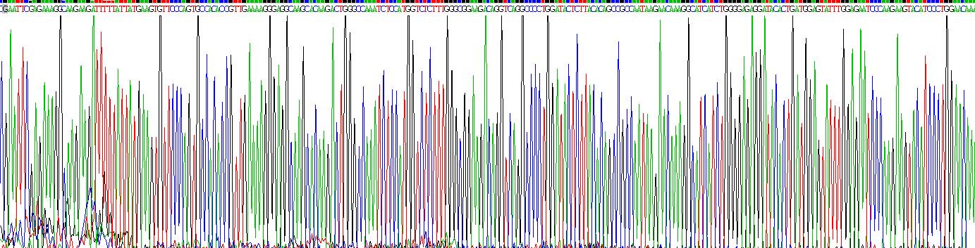 Recombinant Cytochrome C (CYCS)