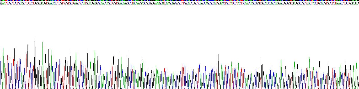 Recombinant Myeloperoxidase (MPO)