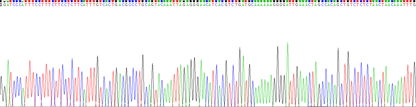 Recombinant Apolipoprotein B100 (APOB100)