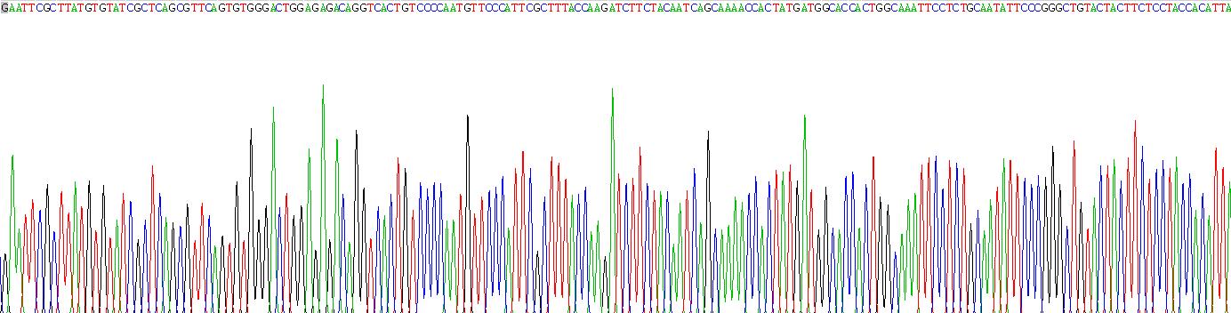 Recombinant Adiponectin (ADPN)