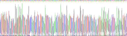 Recombinant Adiponectin (ADPN)