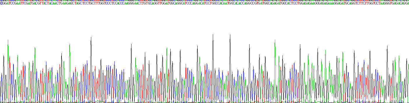 Recombinant Adiponectin (ADPN)