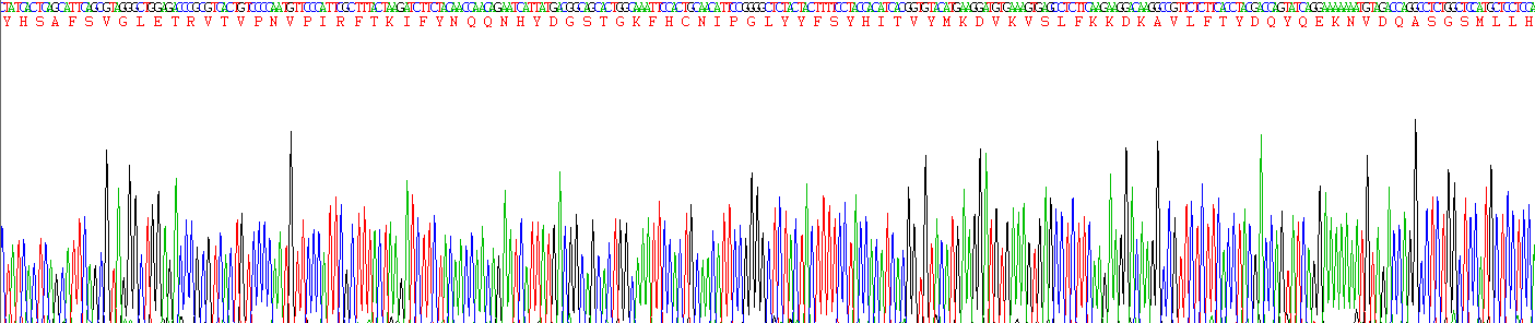 Recombinant Adiponectin (ADPN)