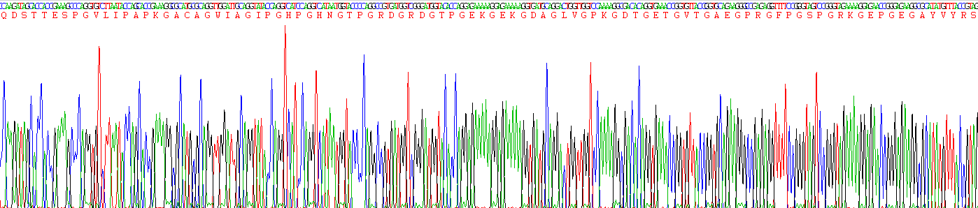 Recombinant Adiponectin (ADPN)