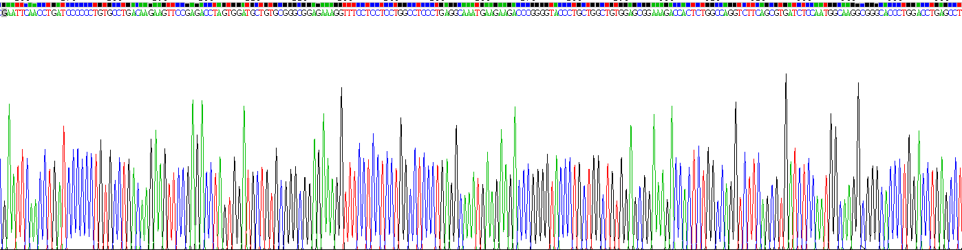 Recombinant Thrombospondin 1 (THBS1)