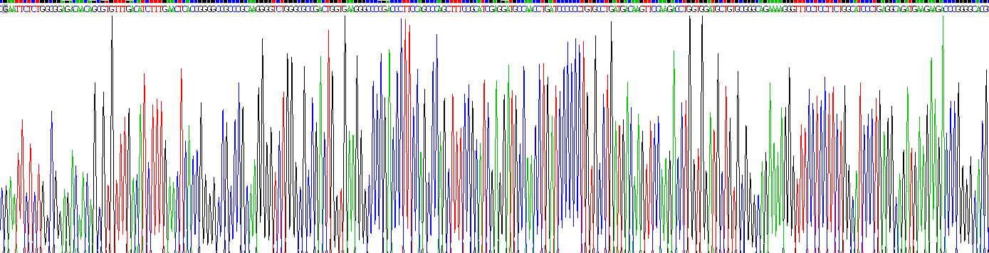 Recombinant Thrombospondin 1 (THBS1)