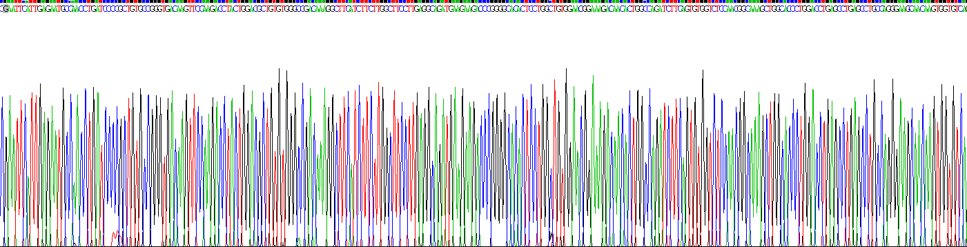 Recombinant Thrombospondin 1 (THBS1)