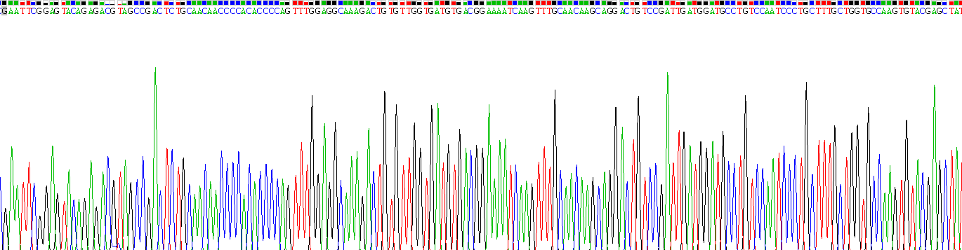 Recombinant Thrombospondin 1 (THBS1)