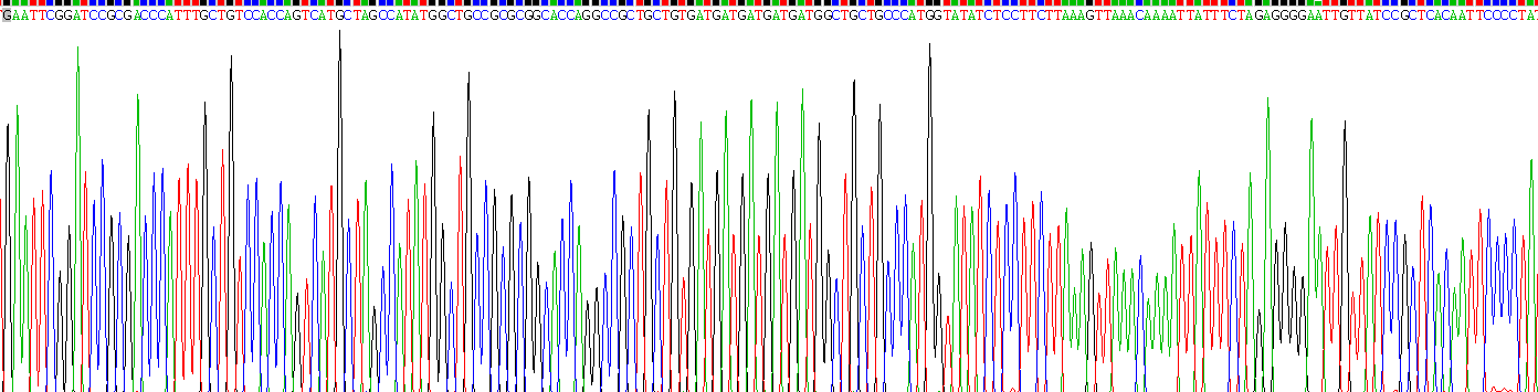 Recombinant Chemokine C-X-C-Motif Receptor 3 (CXCR3)