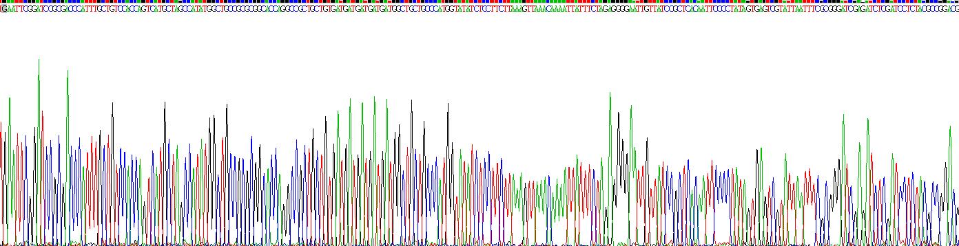 Recombinant Chemokine C-X-C-Motif Receptor 3 (CXCR3)