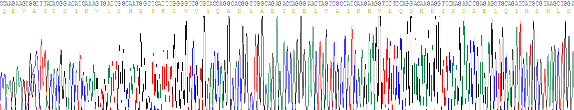 Recombinant Glycogen Synthase Kinase 3 Alpha (GSK3a)