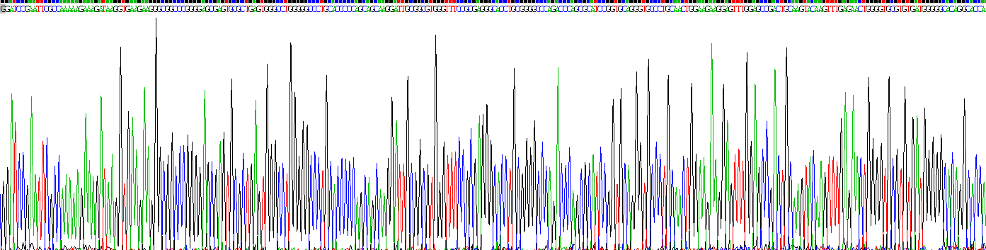 Recombinant Midkine (MK)