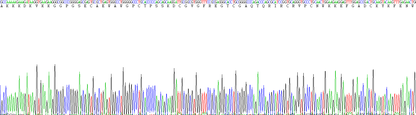 Recombinant Midkine (MK)