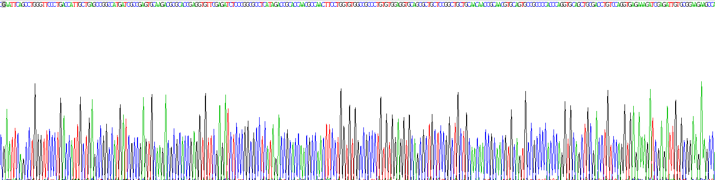 Recombinant Platelet Derived Growth Factor BB (PDGF BB)