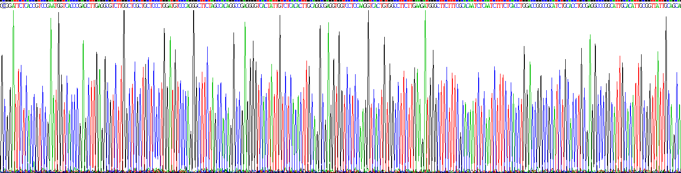 Recombinant Platelet Derived Growth Factor BB (PDGF BB)