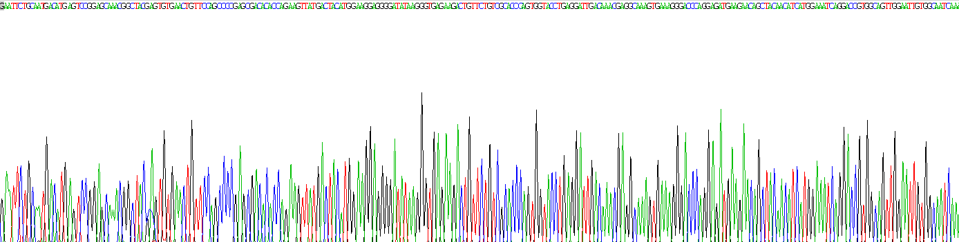 Recombinant Fibroblast Growth Factor 7 (FGF7)