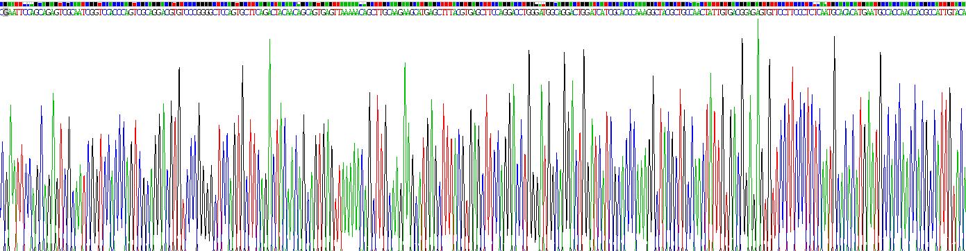 Recombinant Bone Morphogenetic Protein 6 (BMP6)