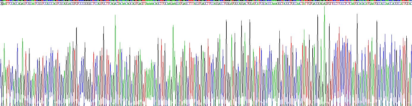 Recombinant Bone Morphogenetic Protein 6 (BMP6)