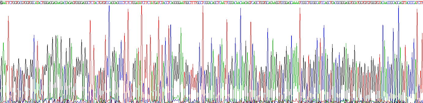 Recombinant Mothers Against Decapentaplegic Homolog 7 (Smad7)