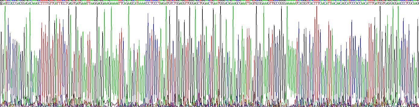 Recombinant Complement component 1 Q subcomponent-binding protein, mitochondrial (C1QBP)