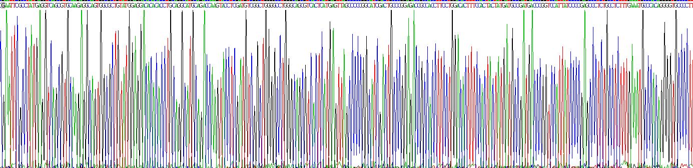 Recombinant Amiloride Binding Protein 1 (ABP1)