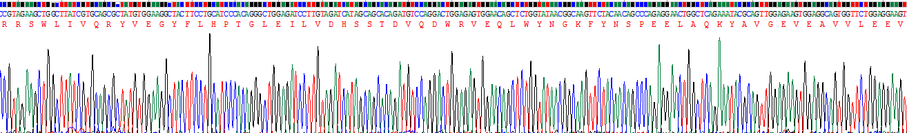 Recombinant Amiloride Binding Protein 1 (ABP1)