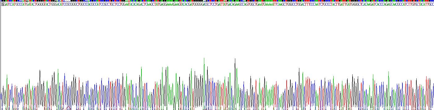 Recombinant Glutathione S Transferase Mu 1 (GSTM1)