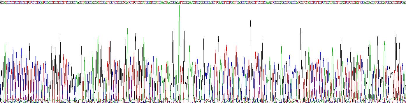 Recombinant Glutathione S Transferase Mu 1 (GSTM1)