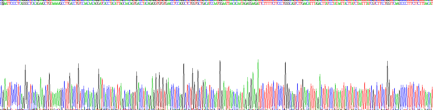 Recombinant Toll Like Receptor 2 (TLR2)