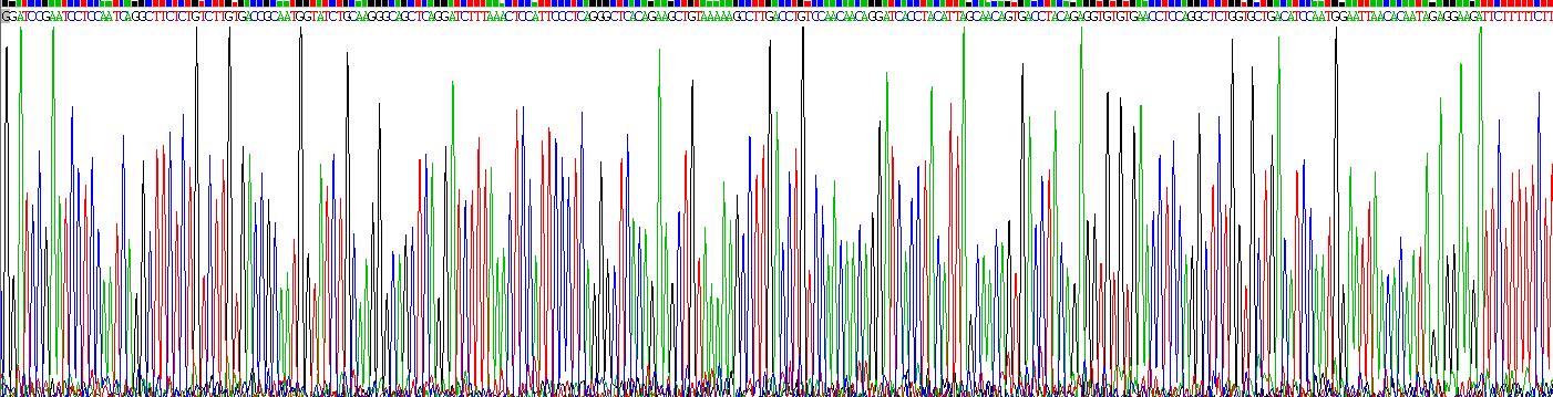 Recombinant Toll Like Receptor 2 (TLR2)